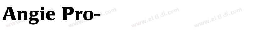 Angie Pro字体转换